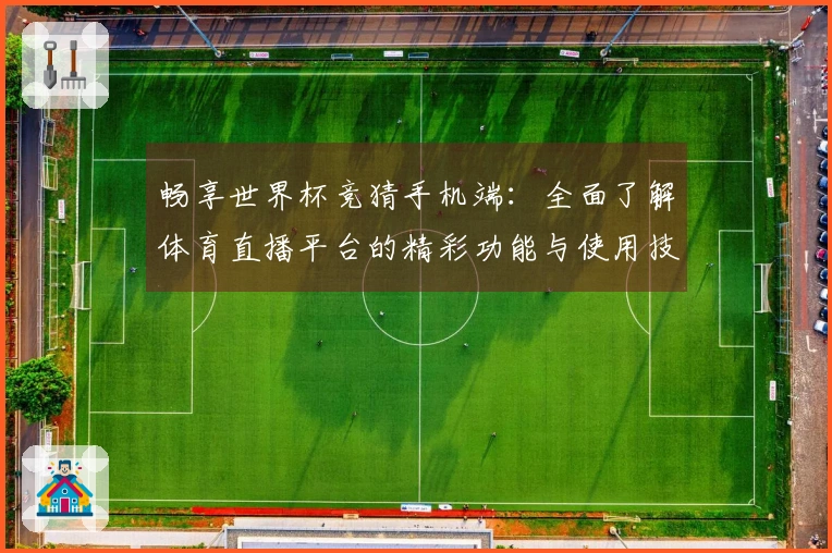 畅享世界杯竞猜手机端：全面了解体育直播平台的精彩功能与使用技巧
