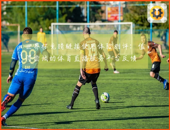 世界杯竞猜链接使用体验测评：值得尝试的体育直播服务平台反馈