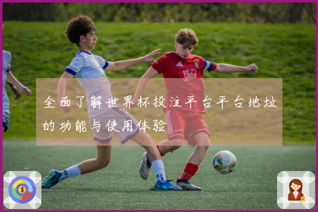 全面了解世界杯投注平台平台地址的功能与使用体验