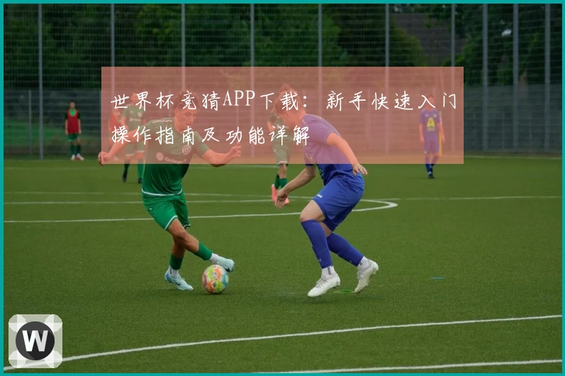 世界杯竞猜APP下载：新手快速入门操作指南及功能详解