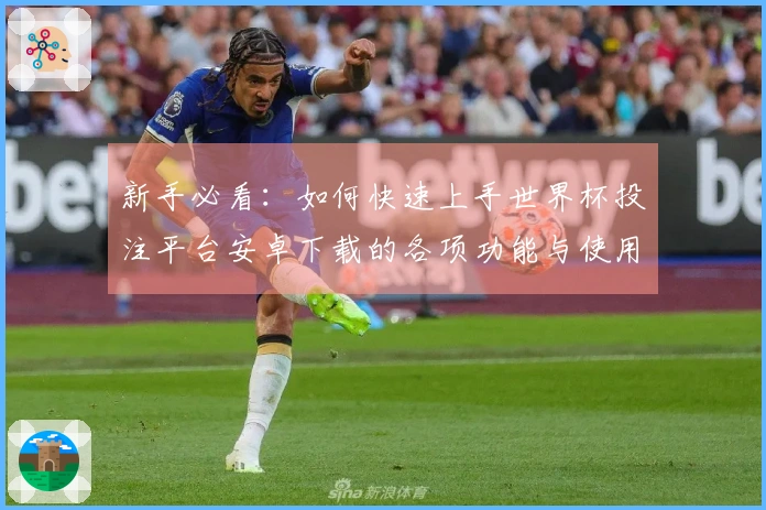 新手必看：如何快速上手世界杯投注平台安卓下载的各项功能与使用技巧