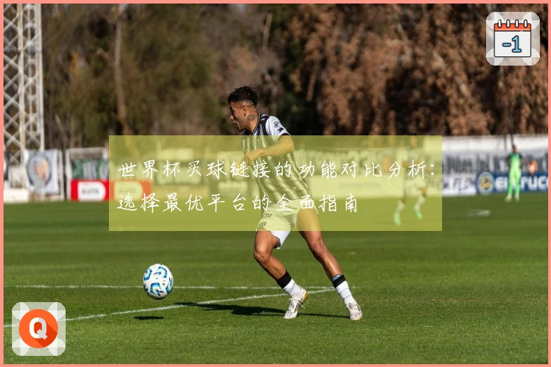 世界杯买球链接的功能对比分析：选择最优平台的全面指南