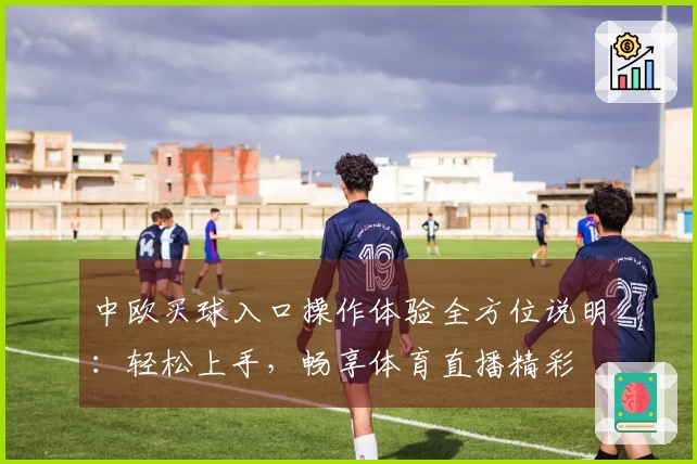 中欧买球入口操作体验全方位说明：轻松上手，畅享体育直播精彩