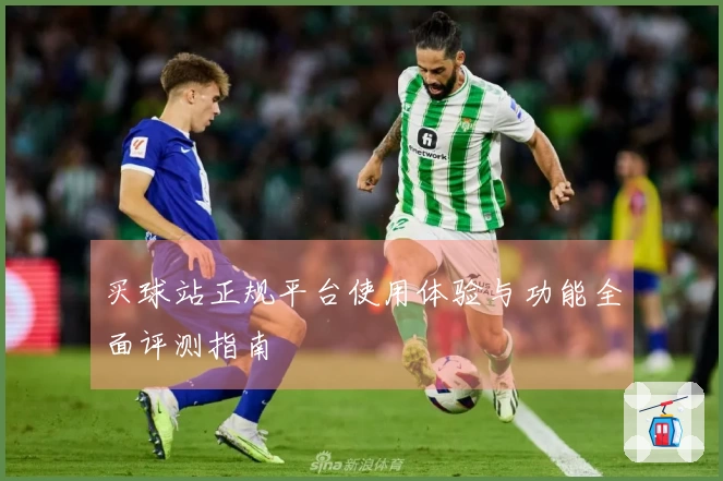 买球站正规平台使用体验与功能全面评测指南