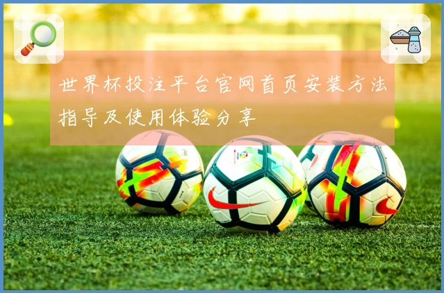 世界杯投注平台官网首页安装方法指导及使用体验分享