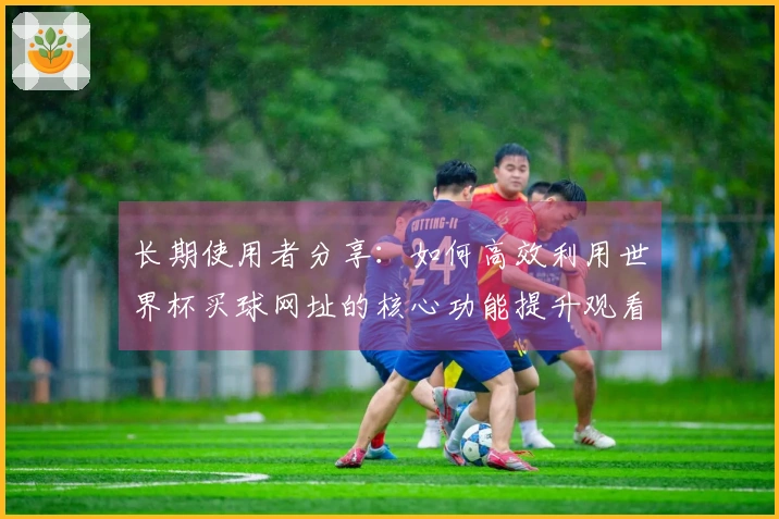 长期使用者分享：如何高效利用世界杯买球网址的核心功能提升观看体验