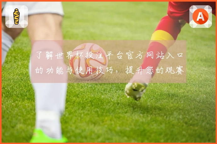 了解世界杯投注平台官方网站入口的功能与使用技巧，提升您的观赛体验