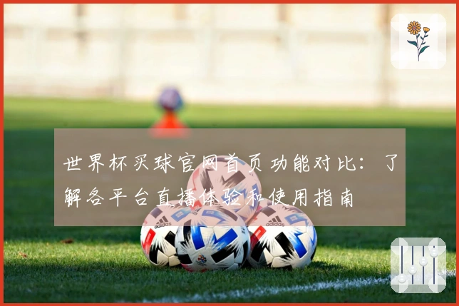 世界杯买球官网首页功能对比：了解各平台直播体验和使用指南