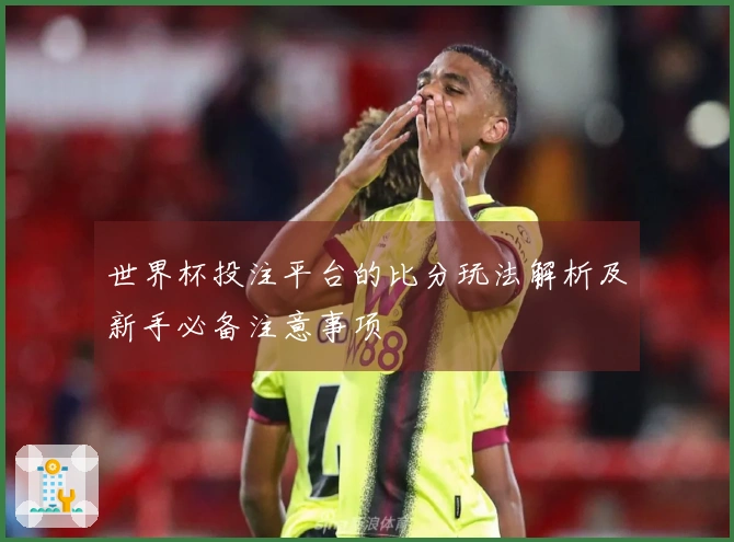 世界杯投注平台的比分玩法解析及新手必备注意事项