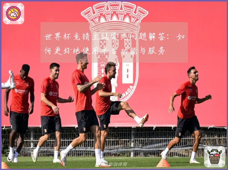 世界杯竞猜主站常见问题解答：如何更好地使用平台功能与服务